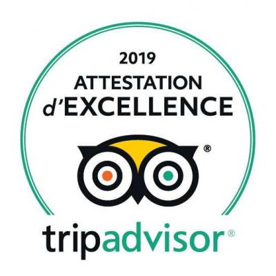 Trip advisor logo 2019